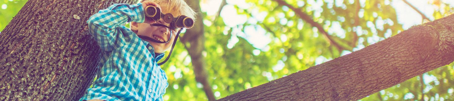 5 Debt Agreement Myths Explained