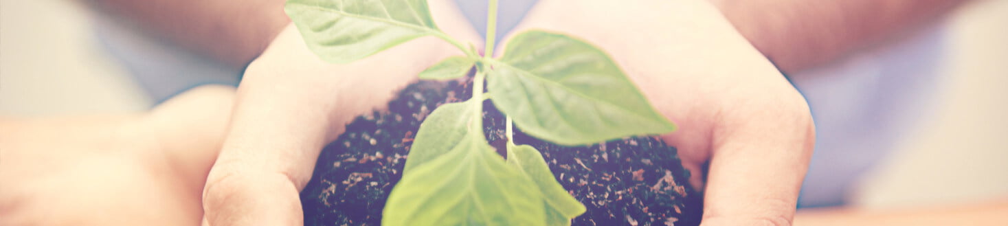 Get Your Life Back On Track With Debt Consolidation